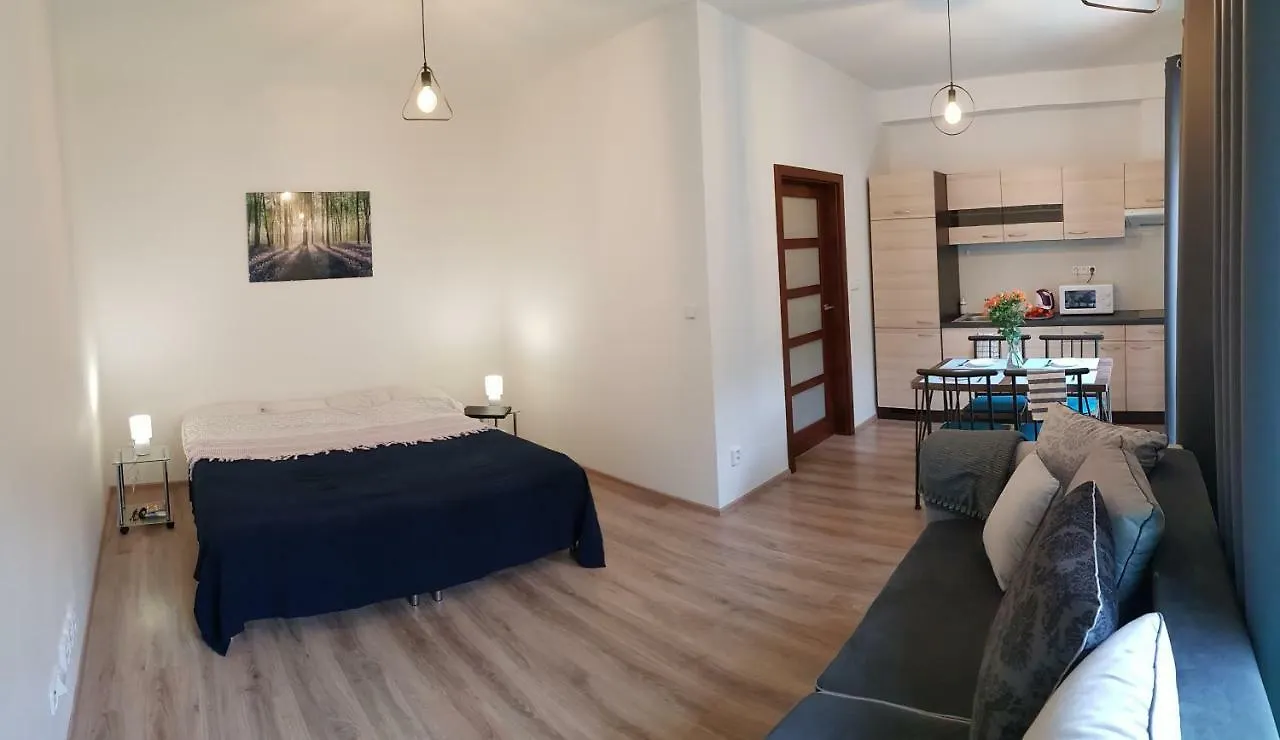 Apartments Trnita Brno